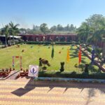 img 2692 (1) (1)